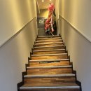 안양일번가 | 안양역 카페 | 새벽까지 하는 대형 라운지 카페 ‘더콤마라운지 안양일번가점’ 후기