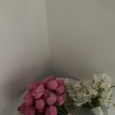 디어마이그린 | 웨딩 촬영 부케 추천, 디어마이썸머 촬영 부케 후기