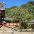 백양로 R 이미지