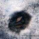 운천낚시 - 포천시 호국로 3090 | 운천낚시