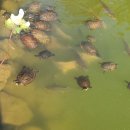 거북선공원 이미지