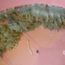 대명민박 이미지