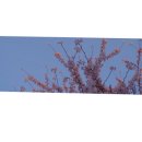 유앤미공인중개사사무소 이미지