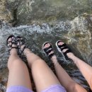 동화속오두막 이미지