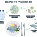 코즈미코