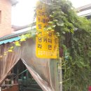 충신시장 이미지