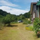 길목농장 이미지