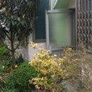 하단2동-5 이미지