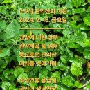 2024. 9. 13. 금..유량계. 연세부동산. 이미지