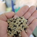 오진아 농촌치유농장 이미지