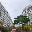 은곡유치원 | 강남자곡힐스테이트 아파트 복층 임장 시세 세대수 평형 학군