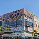 황금애견 | 영종도 구읍뱃터 조개구이 맛집 | 황금물고기 애견동반 식당 후기