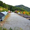 산정농원 이미지