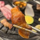 남대전신협 앞 | 대전 월평동 맛집 뭉칫돈 솔직 후기