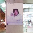 라페스타 동물병원 이미지