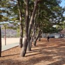 남파랑길 41코스 이미지