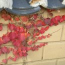 광주도자기엑스포장 이미지