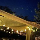 파피루스 캠핑장 이미지