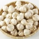 하비동물병원 이미지