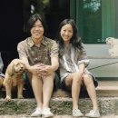 신흥민박 네이버블로그