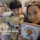 허니 태권도장 이미지