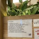 묘연고양이병원 이미지