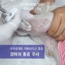 (주)센트럴메디칼 이미지