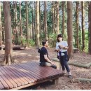 통나무펜션&편백쉼터 이미지