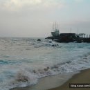 유성현의원 | <Itinerary, 그리고 인생을 연재하다 6> 뿌리 깊은 나무