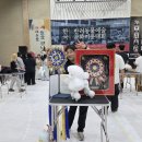 도듬애견미용학원 네이버블로그