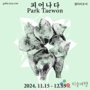 [11월 전시]박태원 초대전 : &#34;피어나다_ BLOSSOM&#34; 이미지