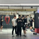 한남 권투 이미지