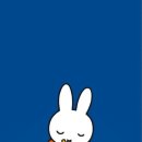 이와이스튜디오
