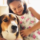 태산동물병원 | 애완동물 입양 전 필독! 3년 차 집사가 털어놓는 솔직한 현실과 비용