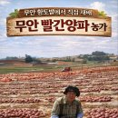 민간요법 100가지 (동의보감) 이미지