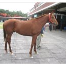 석청목장 이미지