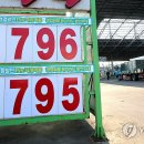 893 연합뉴스