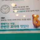 꽈백최선생