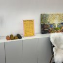 유독(dog) 이쁜날 이미지