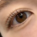 부천로245번길 | 춘의속눈썹펌 아름다운 대만족 추천 후기