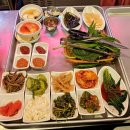 속초 숙성근고기 맛집 백돈가 기분 좋은 날 생각나는 단골집 또또또 간집