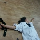 한국체대 진 태권도장 이미지