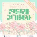 마켓진달래