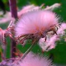 파워라인 이미지