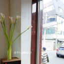 은파피아노 - 광진구 아차산로70길 17-17 | 신촌 카페 펠트커피 세번째 솔직후기 (은파피아노)