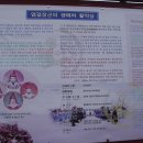 강진,영암여행-2 (강진九十浦 와 無爲寺) 이미지