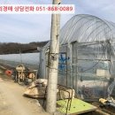 지방도905호선2 이미지