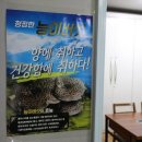 동굴펜션 이미지