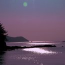 내마음의 풍차 이미지