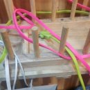 뽑기조아 이미지